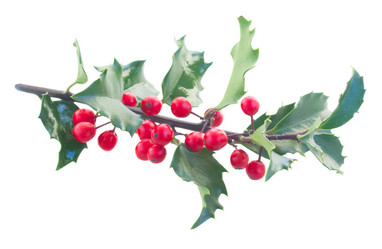 Similar image 8548827