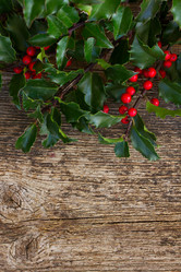 Similar image 8548829