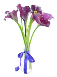 Similar image 8548838