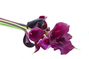 Similar image 8548839