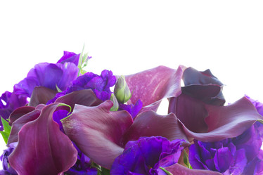 Similar image 8548841