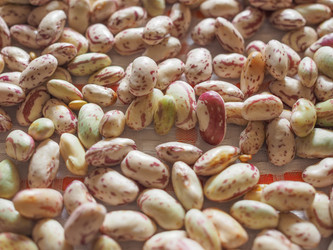 Similar image 8548846