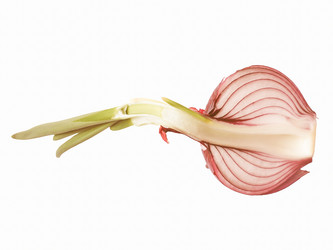 Similar image 8549337