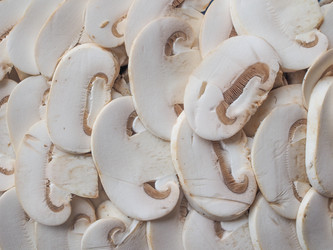 Similar image 8549355