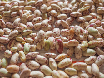 Similar image 8549358