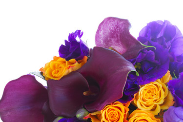 Similar image 8549515