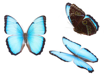 Similar image 8549519