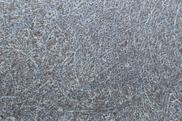 Similar image 8549536