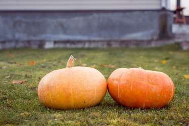 Similar image 8549925