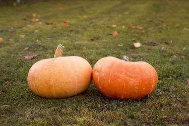 Similar image 8549926