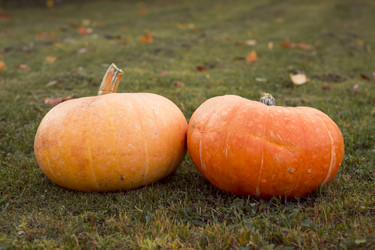 Similar image 8549927