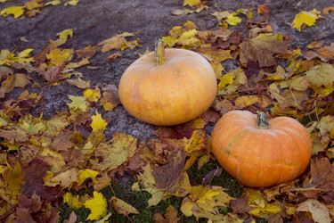 Similar image 8549929