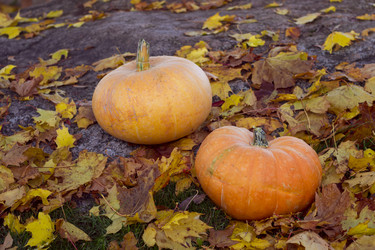 Similar image 8549930