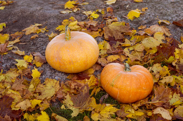 Similar image 8549931