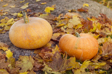 Similar image 8549932