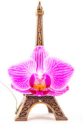 Similar image 8550044