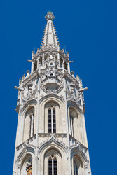 Similar image 8550054