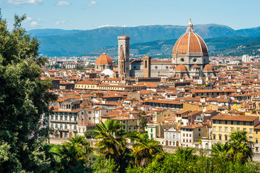 Similar image 8550084