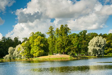 Similar image 8550100