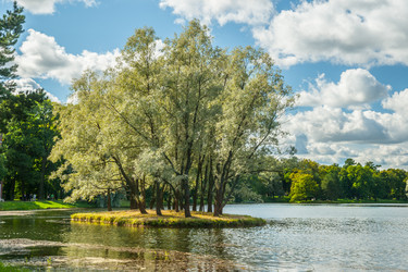 Similar image 8550116