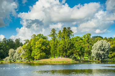 Similar image 8550117