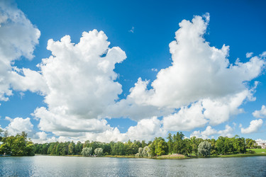 Similar image 8550119