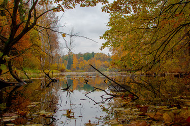 Similar image 8550157