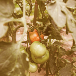 Similar image 8550593