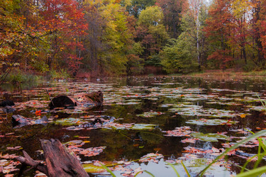 Similar image 8551877