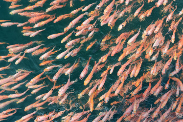 Similar image 8552517