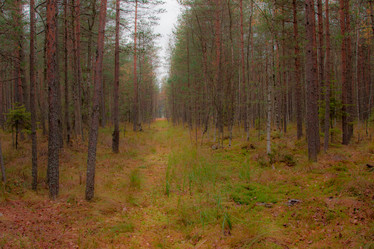 Similar image 8552589