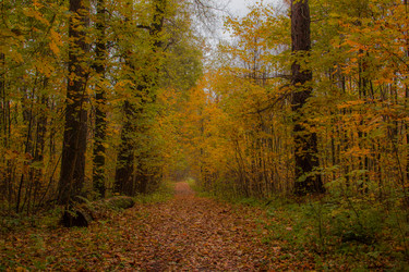 Similar image 8552593