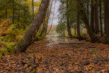 Similar image 8552602