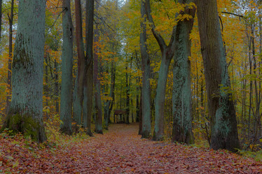 Similar image 8552852