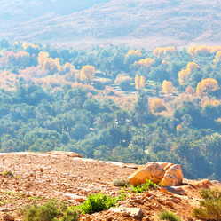 Similar image 8553182