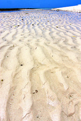 Similar image 8553295