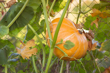 Similar image 8553530