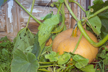 Similar image 8553533