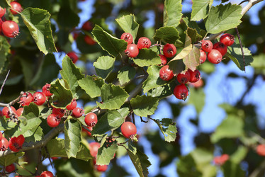 Similar image 8557360