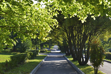 Similar image 8557417