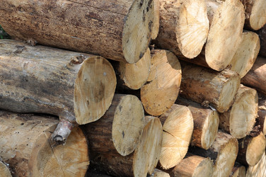 Similar image 8557418