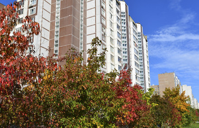 Similar image 8557454