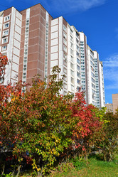 Similar image 8557456