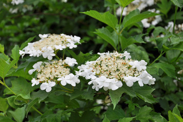 Similar image 8557464