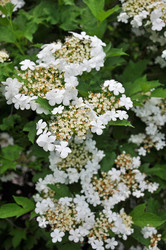 Similar image 8557465