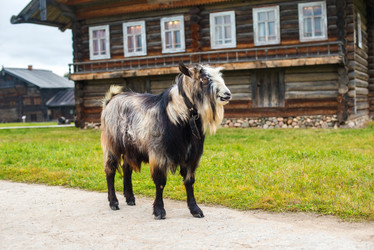 Similar image 8559716