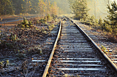 Similar image 8559720