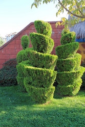 Similar image 8559761