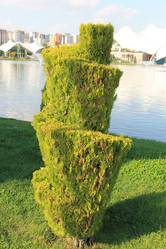 Similar image 8559762