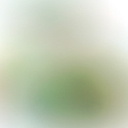 Similar image 8559847